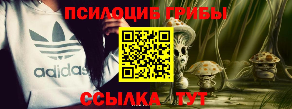 Знаменск  Псилоцибиновые грибы Cubensis  Вход с VPN  Галлюциногенные грибы Psilocybine cubensis 
